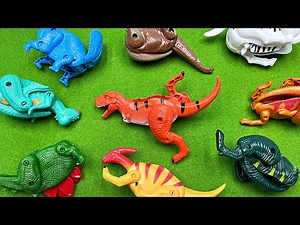 Transformer Dinosaur Eggs - Tyrannosaurus Triceratops