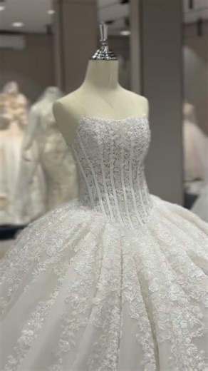 ٣١ يناير ٢٠٢٦