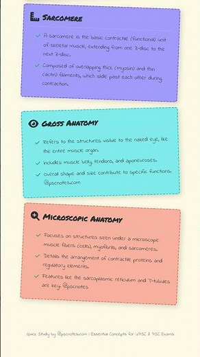 Skeletal Muscle Structure: Gross and Microscopic Anatomy