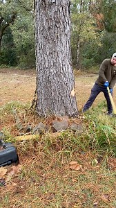 Chainsaws are for the weak.. #goodnuffconstruction #chainsaw #timber #treefelling | GoodNuff Construction