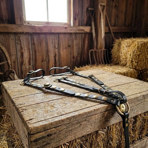 Brass Hardware Breastplate Martingale – Handmade Equestrian Tack - Etsy