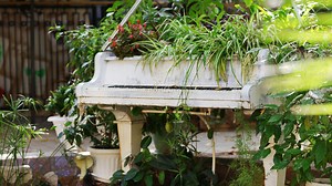 20 greatest pieces of classical music inspired by nature and gardens