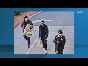 Two arrested after nearly 50 cars broken into at Great Wolf Lodge