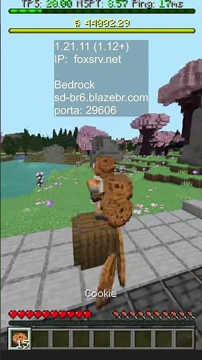 Come Play on the Best Semi-Anarchy Minecraft SMP Server, Full Java and Bedrock with Voice Chat
