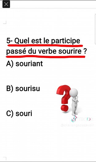Quiz Français : Trouve le Participe Passé Correct !