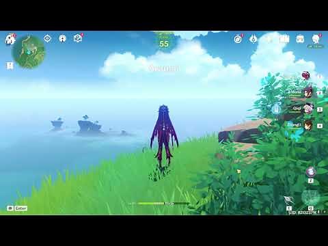 ARAUMI PUZZLE DRAIN THE WATER TO GET TWO SLATES AND UNLOCK TUTELAGE DOMAIN GENSHIN IMPACT