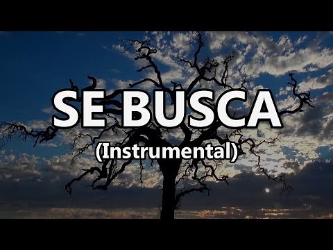 Se Busca - Instrumental