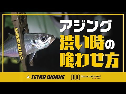 【アジング】超絶タフなショアアジングに挑戦！【フィッシングトリップ】