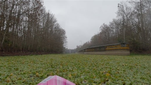 This river was never meant to be a reservoir. It was altered for a canal that never worked. I’m kayaking down the Ocklawaha River to see what was lost — and what’s quietly healing. This is a journey through scars, abandoned structures, and the resilience of nature itself. #ocklawahariver #kayakjourney #letriverslive #floridanature #natureheals | Florida World Nature