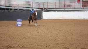 Fallon Taylor on Reels