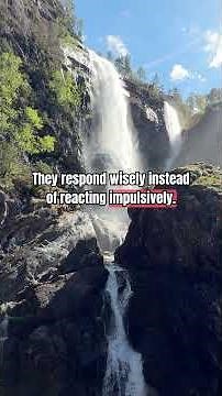 7 Habits of a Wise Person According to Proverbs