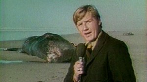 The Exploding Whale: 'This strange event blasted both blubber, and their careers, skyward'