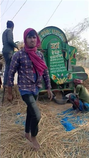 Threshing Rice #viral #rice