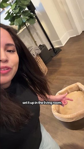 Heated Cat Beds | The Pack