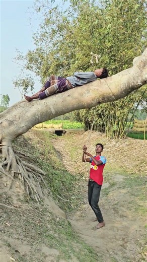 big tree.4 #funny