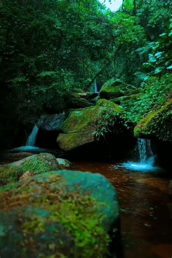 Waterfall Diffuser Amazon#nature#travel#shorts