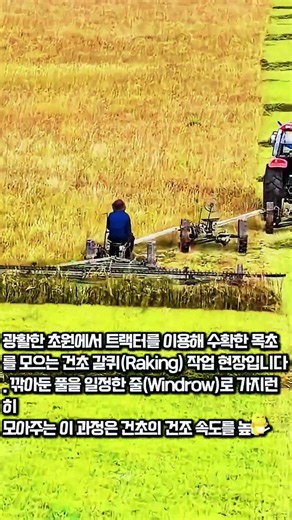 대규모 초원 목초 수확: 효율적인 건초 갈퀴 작업 현장 #worker #process #agriculture #farming #tractor