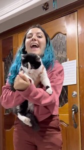 ¿Como enseñarle a tu gato a hacer un truco? 🤓🐱 Appa aprendió a hacer el Jip-Jip🥰 Para aplicar el hack descarga @laikamascotas_mexico con el link de mi biografía la mejor app de productos para tus mascotas 😎 ✅CÓDIGO: DRIM352 Recibe tu 1er pedido de 399 pesos con 25% de descuento y ENVÍO GRATIS a partir de 500 pesos #mascotas #gatos #trucos #entrenamientofelino #felinos #mishis | Preguntale al biologo