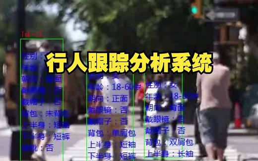YOLOv5+ByteTrack+多标签图像分类网络，开发行人追踪、属性分析系统