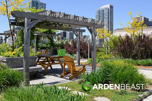 Rooftop Gardens: A Step-By-Step Guide to Designing an Urban Oasis