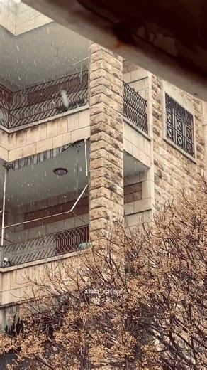 ‎كافي_اصالة‎ on Instagram‎: "تملي حبيبي بشتاق لك ،آصالة خيارك الأفضل ❄️😍❤️‍🔥#asala_cafeee"‎