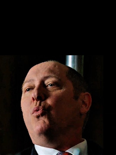 Harold and Reddington plot explained — The Blacklist scene breakdown