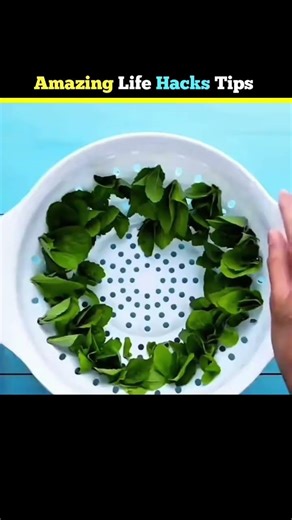 After 50 Years, These Simple Home Hacks Finally Make Sense 😲