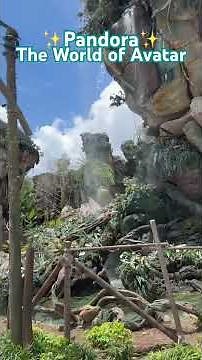 Pandora : The World of Avatar in Walt Disney World