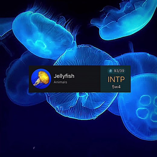 INTP Personality Types Explained Through Animals | 16Personalities