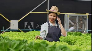 Asian woman gardener picking organic salad plant in plastic plant pot and holding Vegetable basket for breakfast , gardening at home, Selective focus, Farming and growing your own food concept.