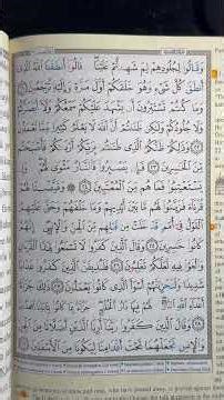 #islamicscripture #quransurah #peace #surahfussilat verses 28 and 29.