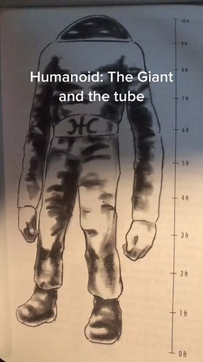 The Giant Alien in Russia - #ufo #humanoid #alienencounter #russia #alien #giant