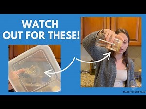 HOW TO TELL if your Meal Prep Containers are NON-TOXIC & ECO FRIENDLY 🌱