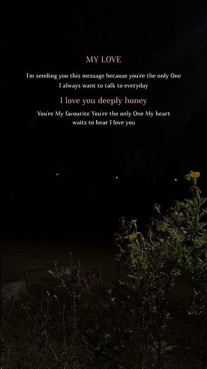 My Love, I Love You ❤️ | Sweet Romantic Love Quotes
