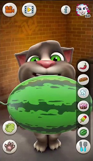 Talking Tom Cat 2 - The Bast Funny Tom Video 14