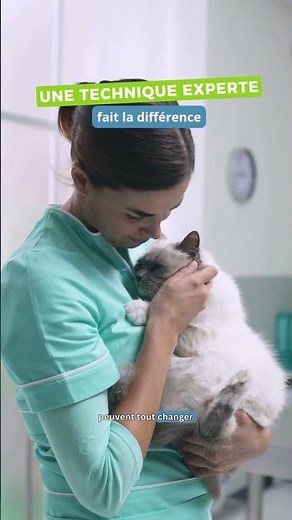 Canine and Feline Massage Training