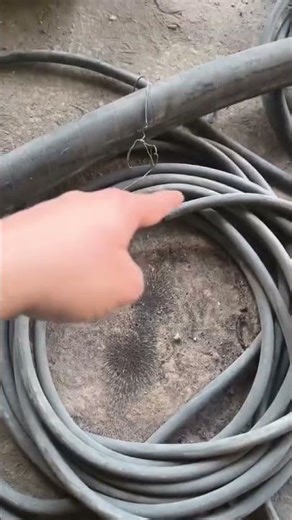 live example of electromegnetic effect #shorts #science #sciencefacts