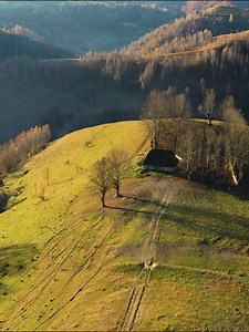 La multi ani Romania -Daniel Fernea Formatia Argus | Formatia Argus Satu Mare