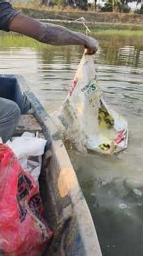 Feeding the fish in the early morning pond
