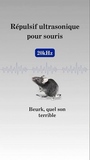 Son ultrasonique ultra puissant anti-souris (20 s)