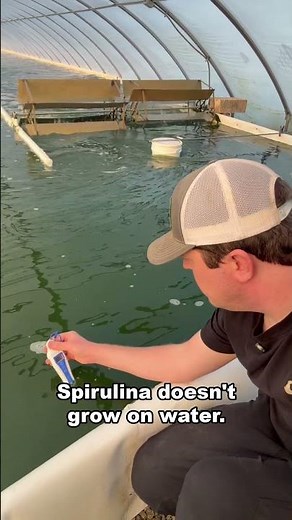 Why I Built an Algae Farm Where It Barely Rains