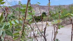 #funnyprank | Jimmy One Production