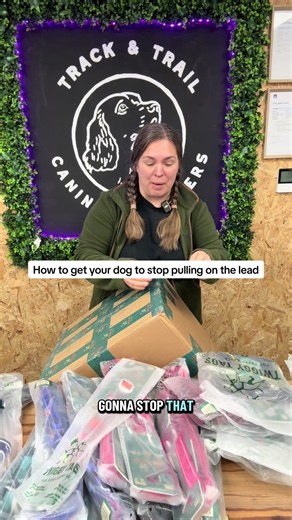 How to Stop a Dog from Pulling: Training Not Gear