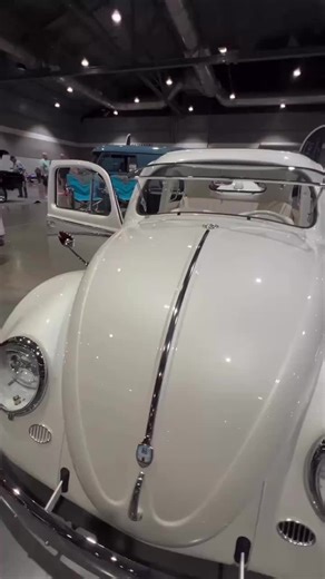 Had a 1963 bug!!