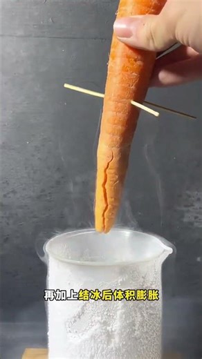 What's Inside When Fruits Hit Liquid Nitrogen