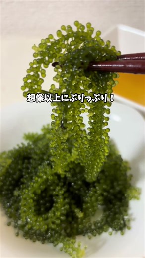 水に入れた瞬間、みるみる膨らむ海ぶどう。ぷちぷち弾ける食感がクセになるやつ！ これは完全に大人の贅沢おつまみ！ #海ぶどう #無添加 #トクトク大感謝祭 #新年度セール #自分へのご褒美