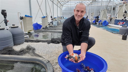 Ohio Koi brings mega shopping center, thousands more fish to Sunbury