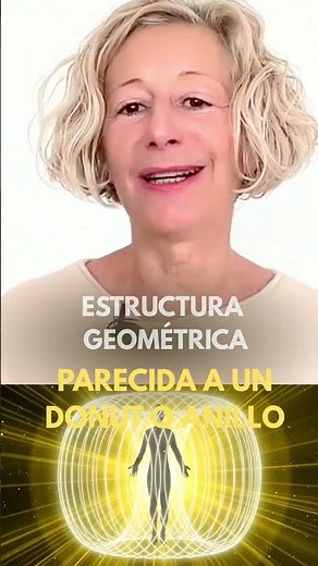 QUÉ ES EL TOROIDE?