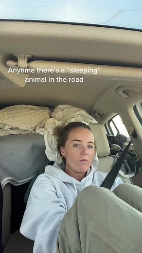 Seattle to Yellowstone Road Trip Adventure