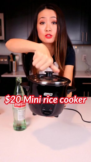 Make Delicious Japanese Chicken Curry in 30 Minutes with a Mini Rice Cooker!